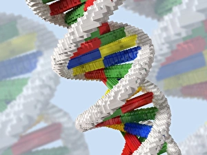 Double Helix Structure Drucke: Genetic engineering, conceptual artwork