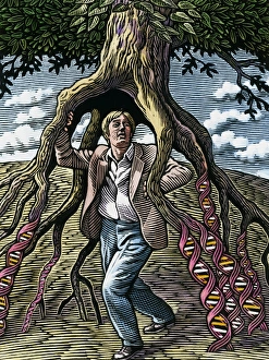 Drucke von Genetische Erbschaft. Konzeptuelle Kunst darstellend das Rollen der DNA (Deoxyribonukleinsäure) in der Erblichkeit, zeigt einen Mann unter einem Baum dessen Wurzeln als Strände von DNA Bilder Datiert 2006 Januar: Vererbtes Genetik