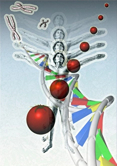 Deoxyribonucleic Acid Structure Drucke: Genetic modification