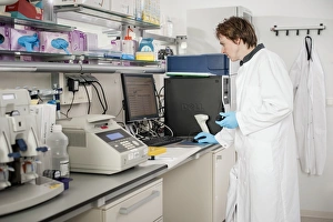 Genetic Analysis Drucke: Genetic sample analysis C019 / 0284