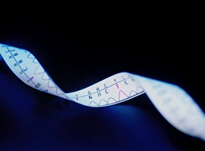 Deoxyribonucleic Acid Drucke: Genetic sequence