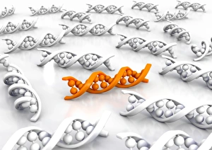 Deoxyribonucleic Acid Drucke: Genetic uniqueness, artwork