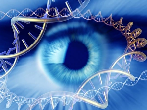 Deoxyribonucleic Acid Drucke: Genetics research, conceptual image