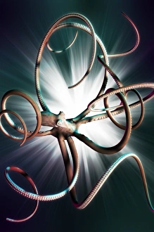 Drucke von Riesen-Octopussus, Computerzeichnung eines riesigen Octopusses vor einem hellen Licht Bilder Datiert 2010 April: Riesenoktopus, Kunstwerk