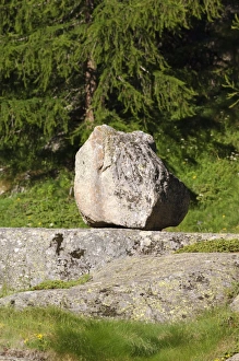 Glacial Erratic Boulder Drucke: Glacial erratic boulder C017 / 6773