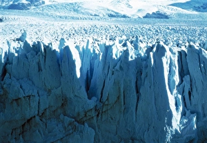 Glacier Calving Images Drucke: Glacial ice cliff