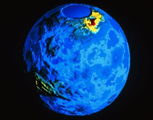 Venus Drucke: Weltnetzkarte der Topographie von Venus.