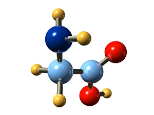 Amino Acid Structure Drucke: Glycine, molecular model