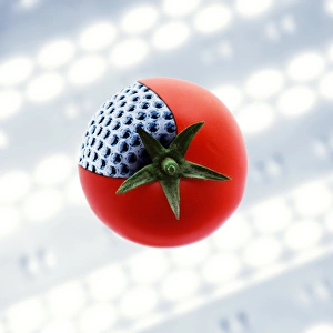 Deoxyribonucleic Acid Image Drucke: GM tomato, conceptual image