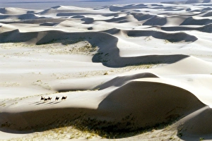 Sand Dunes Landscape Drucke: Gobi Desert