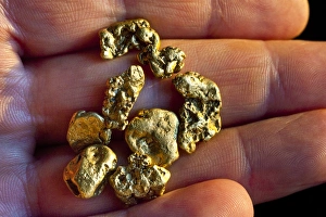 Goldnuggete