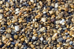 Coastal Erosion UK Drucke: Graded shingle