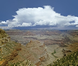 Cumulonimbus Clouds Drucke: Grand Canyon with Thunderhead Cloud
