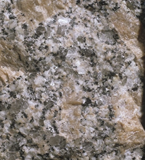 Geological Formations Drucke: Granite C013 / 6563