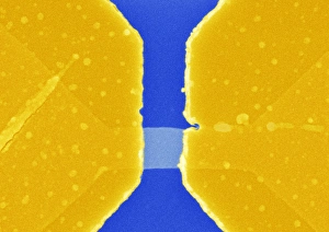Silicon Replacement Technology Drucke: Graphene transistor, SEM