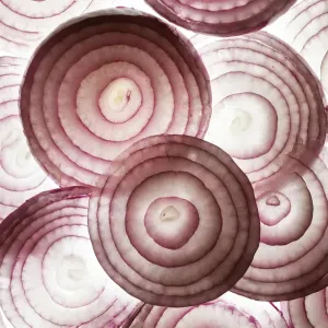 Kitchen Photography Drucke: Red onion slices