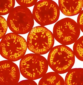 Grafiken Und Muster Drucke: Tomatenscheiben