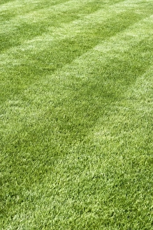 Garden Design Ideas Drucke: Grass lawn