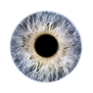 Graue Augen