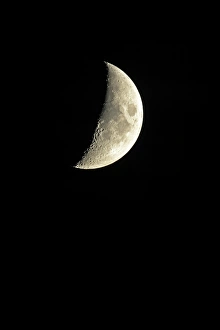 Half Moon Germany Drucke: Half Moon C018 / 1768