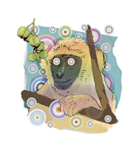 Euphorbiaceae Family Drucke: Hallucinating monkey, artwork