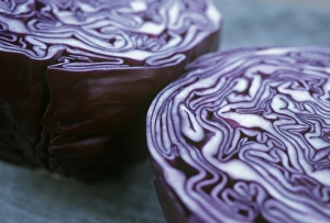 Brassica Oleracea Drucke: Halved red cabbage
