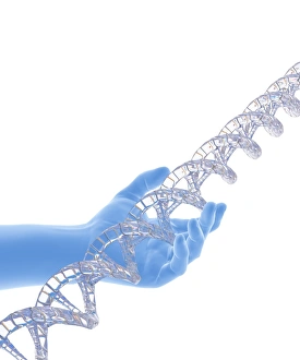 DNA Structure Drucke: Hand with DNA strand, computer artwork