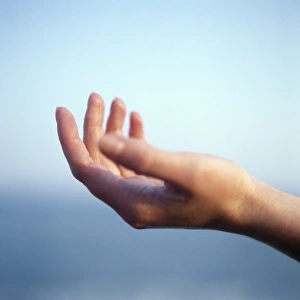 Drucke von Die Hand ist ausgestreckt mit der Palme nach oben gesichtsweise Bilder Datiert 2003 November: Hand
