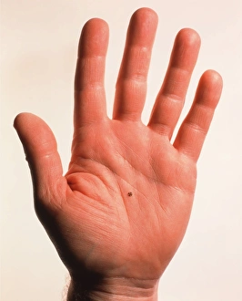 Drucke von Microcogs (Bild 1 von 3). Hand hält Mikrocogs in Form eines Mikrogewindestrahls. Dies könnte für ein Mikromaschine oder einen MicroElectroMechanical System (MEMS) verwendet werden Bilder Datiert 1999 September: Hände halten Mikrocogsen