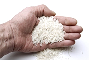 Carbohydrate Rich Foods Drucke: Handful of rice