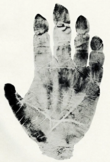 Drucke von Fingerabdruck eines Gorillas als Kunstwerk aus Dr. Henry Faulds Guide zu Finger-Abdrucksidentifizierung, 1905 Bilder Datiert 2006 Oktober: Händepfingergewicht des Gorillas