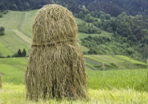 Bilder Datiert 14. Juni 2006: Hay stack
