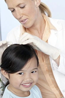 Drucke von MODELL FREIGEBEN. Kopfhämatituntersuchung. Arzt überprüft eine 6-jährige Mädchen auf Kopfhämatitis (Pediculus humanus capitis) Bilder Datiert 2006 Januar: Kopfkäferuntersuchung