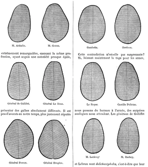 French Popular Science Weekly Drucke: Head shape variation, 19th century
