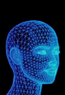 Anatomy Illustration Concept Drucke: Head