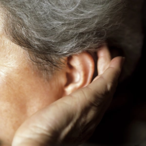 Drucke von MODELL FREIGEBEN. Hörverlust bei einer älteren Frau, die mit der Hand an ihre Ohren legt und sich bemüht zu hören Bilder Datiert 2005 September: Hörverlust