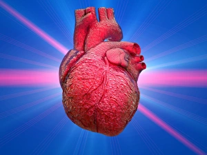 Anatomical Heart Illustration Drucke: Heart and lightbeams