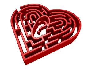 Herz Labyrinth, Computerkunstwerk