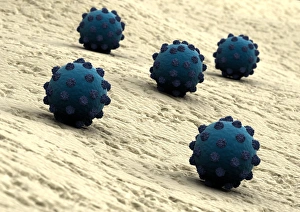 RNA Virus Structure Drucke: Hepatitis C virus, artwork