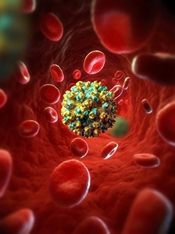 Computer Artwork Virus Drucke: Hepatitis E infection, artwork