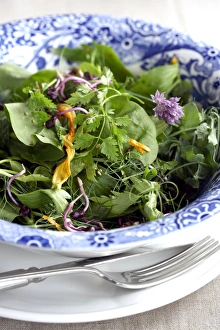 Fresh Leafy Greens Drucke: Herb salad