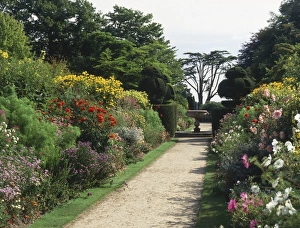 Herbaceous Perennials Drucke: Herbaceous borders
