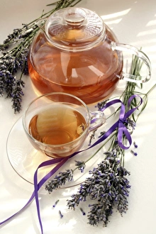 Herbal Tea Photography Drucke: Herbal tea and lavender