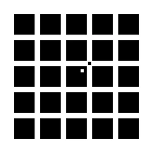 Herren-Herings Illusion