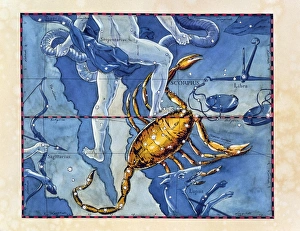 Historical Astronomy Art Drucke: Historical artwork of the constellation Scorpius
