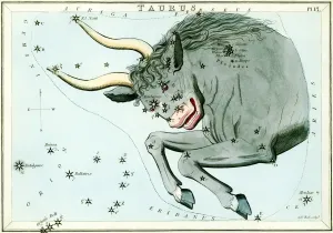 Uranias Mirror Cards Drucke: Taurus constellation