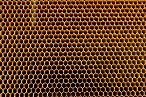Drucke von Ein Körnchen aus gefestigtem Kunststoff Bilder Datiert 2010 September: Bienenkörnchenkeramik