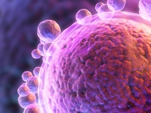 Reproductive Biology Images Drucke: Human egg cell, artwork