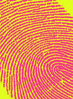 Drucke von Abdruck Handschuhkunstwerk Computerzeichnung eines menschlichen Abdrucks Ein Abdruck wird durch Epidermridgen gebildet und schafft ein charakteristisches Muster Bilder Datiert 2005 Mai: Menschliche Abdruckspfingernagel