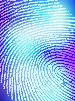 Drucke von Fingerabdruck. Computerart zur Darstellung eines menschlichen Fingerabdrucks ist ein Bild von Epidermawulstentwicklungen mit einer charakteristischen Musterbildung Bilder Datiert 2005 Mai: Menschenabdruck